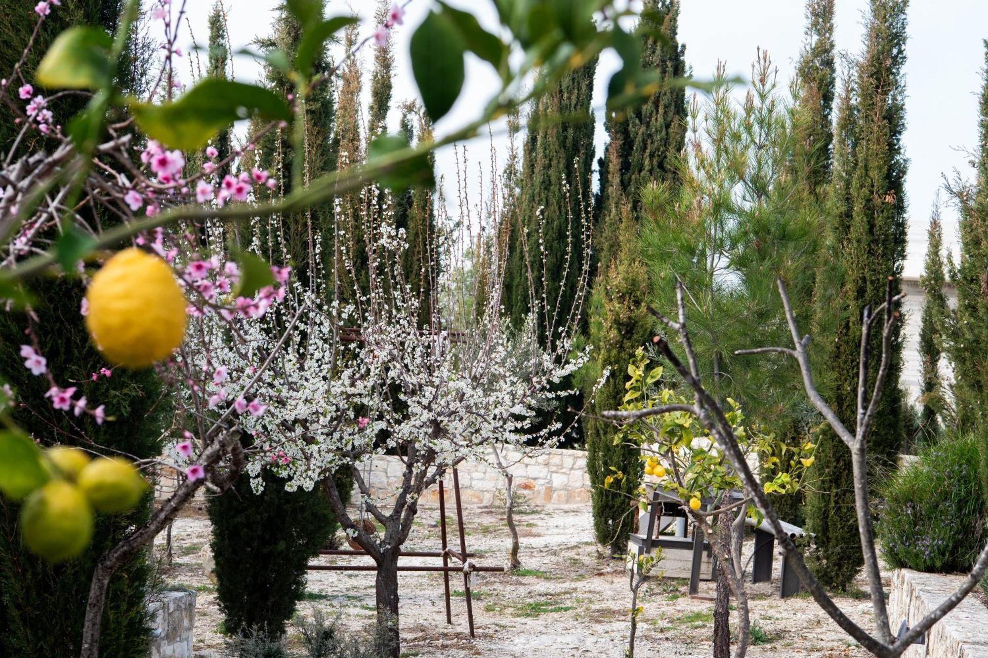 Villa Ayia Marina Káthikas Exterior foto